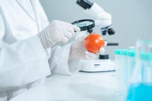 Scientist check chemical food residues in laboratory. Control experts inspect quality of vegetables vegetables. lab, hazards, find prohibited substances, contaminate, Microscope. photo