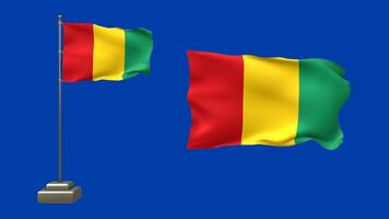 3D animation of two Guinean flags on a green background. One flag flutters on a pole with lifelike motion, while the other waves freely without support video