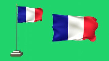 3D animation featuring two French flags on a green background. One flag flutters on a pole with realistic motion, while the other waves gently, unsupported video