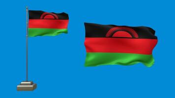 Vibrant display of the Malawi flag fluttering gracefully against a bright blue background video