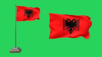 3D animation featuring two Albanian flags on a green background. One flag waves on a pole with realistic motion, while the other floats freely without a pole video