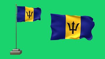 3d animazione con Due Barbados bandiere su un' verde sfondo. uno bandiera onde su un' polo con realistico movimento, mentre il altro galleggia liberamente senza un' polo video