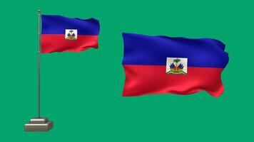 3D animation of two Haitian flags on a green background. One flag flutters on a waving pole with lifelike motion, while the other waves gently without support video