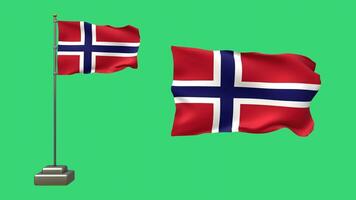 The Norwegian flag flutters gently on a bright green background video