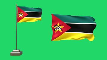 Due bandiere di mozambico nel 3d animazione su un' verde sfondo. uno bandiera svolazza su un' agitando polo con realistico movimento, mentre il altro onde liberamente senza supporto video