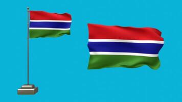Vibrant display of Gambian flags waving softly against a bright blue background video