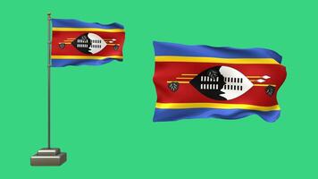 3D animation featuring two Eswatini flags on a green background. One flag flutters on a waving pole, while the other waves calmly without support video