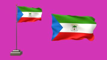 3D animation of two Equatorial Guinean flags on a pink background. One flag waves on a pole with realistic motion, while the other gently flutters without a pole video