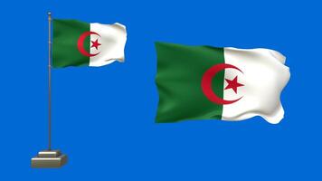 3D animation featuring two Algerian flags on a blue background. One flag is mounted on a waving pole with realistic motion, while the other floats freely without a pole, symbolizing Algeria's identity video