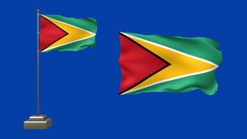 3D animation featuring two Guyanese flags on a green background. One flag flutters on a waving pole with realistic motion, while the other waves gently without support video