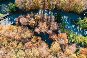 Aerial view of Cypress at Luodong Sports Park in Yilan County, Taiwan photo