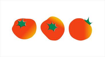 Set of red tomatoes. Collection of summer vegetables in risograph style vector