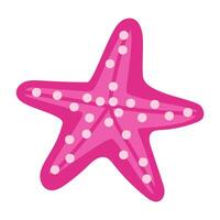 The starfish. A pink star with dots and stripes is isolated on a white background. The drawing is handmade in a flat, minimalistic style. Cute illustration of a tropical vacation vector