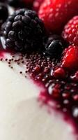Divided dessert topped with a medley of vibrant berries on a smooth, creamy surface in a rustic setting photo