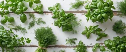 Aerial view of fresh green garden herbs like basil dill and parsley arranged on a rustic wooden table with ample space for text at the bottom. photo