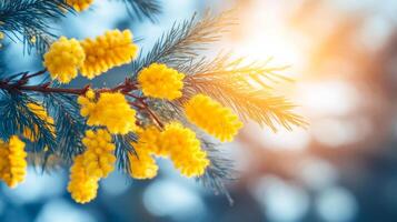 A tree branch is filled with yellow flowers, and the sun is shining brightly on them. The sunlight highlights the bright yellow petals, creating a warm and inviting atmosphere photo