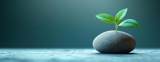 New life sprouts from a smooth stone. A small green plant grows from a smooth stone, symbolizing resilience and growth in a serene setting. photo
