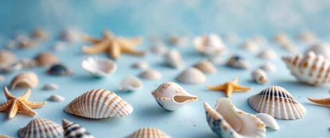 Assorted sea shells and starfish scattered on a light blue surface photo