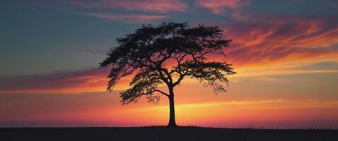 Majestic sunset over a silhouette tree creating a serene and colorful landscape in the evening sky. photo