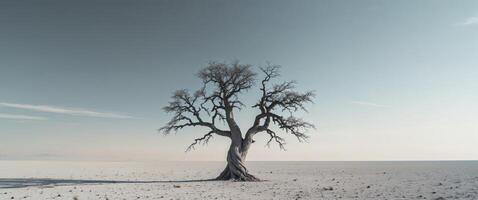 Resilient Tree in Arid Landscape Symbolizing Strength and Endurance with Clear Blue Sky Ideal for Inspirational Text and Messaging photo