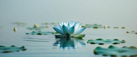 azul loto flor en agua , Copiar espacio concepto para fondo de pantalla o antecedentes. foto
