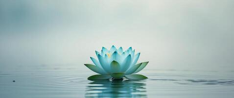 blue lotus flower on water , copy space concept for wallpaper or background photo