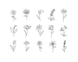 Flowers icons set rose, tulip, bell, camellia, daffodil, daisy, calla, lavender, lily, peony, poppy, wallflower drawing in round linear style with black on white background vector