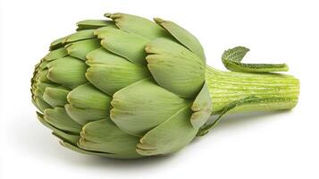 Fresh artichoke showcasing vibrant green layers and natural texture on a white backdrop for healthy cooking inspiration photo