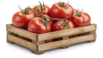 Fresh ripe tomatoes in a wooden crate showcasing vibrant red color and green stems for a healthy lifestyle photo