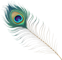 Beautiful peacock feather design with rich color patterns. . png