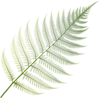 Realistic and translucent leaf with intricate veins in design clipart. . png