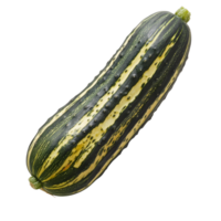 Vibrant striped cucumber resting on a clean transparent surface, showcasing its natural beauty and distinctive pattern, striped cucumber on transparent background png