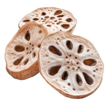 fresco loto radici visualizzato su un' pulito trasparente sfondo, in mostra loro unico struttura e struttura per culinario usi, loto radici isolato su trasparente sfondo png