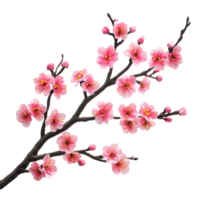 Delicate sakura tree branch adorned with pink blossoms against a transparent background, sakura tree branch flower transparent background png