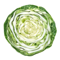 Freshly sliced cabbage arranged in a circular pattern isolated on a transparent background, slice cabbage isolated on transparent background png