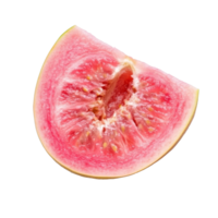 Fresh pink guava fruit slice isolated on a clean transparent background showcasing its vibrant color and texture, pink guava fruit slice isolated on transparent background png