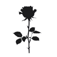 Elegant rose silhouette isolated against a pure transparent background highlighting natural beauty and simplicity, rose silhouette isolated on transparent background png