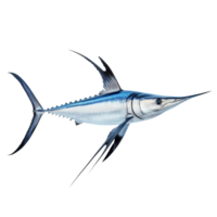 Swordfish illustration on a transparent background showcasing its unique features and anatomy in detail, Swordfish Isolated on transparent background png