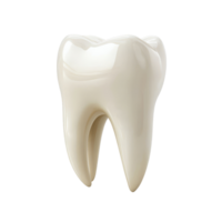 Isolated tooth on a transparent background showcasing dental structure and anatomy in a clinical setting for education, tooth isolated on transparent background png