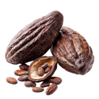 Fresh cocoa pods and beans placed on a transparent background showcasing natural agricultural produce, Fresh cocoa isolated on transparent background png