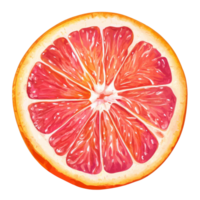Fresh pink and orange grapefruit slice isolated on a transparent background showcasing vibrant colors and textures, pink orange grapefruit slice isolated on transparent background png