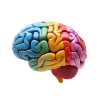 Colorful brain model showcasing detailed structure isolated on a transparent background for educational purposes, Colorful Brain Model Isolated on transparent background png