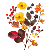 Autumn flowers and leaves arranged on a transparent background for seasonal decoration and inspiration, of autumn flowers isolated on a transparent background png