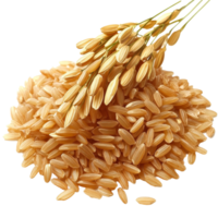 A generous pile of brown rice grains is displayed on a pristine transparent surface alongside golden rice ears, brown rice isolated on transparent background png