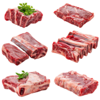 A diverse collection of fresh raw beef ribs arranged with a touch of green garnish for a culinary showcase, Collage of different isolated raw beef ribs meat png