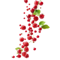 Red summer berries cascade beautifully on a bright transparent backdrop, showcasing their vibrant color and fresh appeal, red summer berries fallingisolated on transparent background png