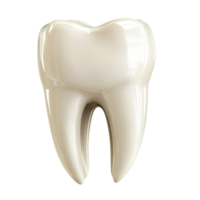 A closeup of a healthy tooth isolated on a clean transparent background showcasing its natural shape and color, tooth isolated on transparent background png