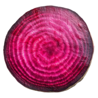 Freshly sliced beetroot showcasing its vibrant, circular pattern isolated on a plain transparent background, slice of beetroot isolated on transparent background png