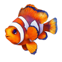Peixe-palhaço natação graciosamente contra uma avião transparente fundo destacando Está vibrante cores e distinto padrões, Peixe-palhaço em transparente fundo png