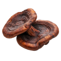 Lingzhi mushroom Ganoderma lucidum displayed on a clean transparent background for health and wellness studies, Lingzhi Mushroom Ganoderma Lucidum on transparent background png